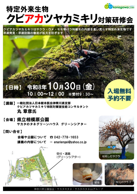 神奈川県立相模原公園　「クビアカツヤカミキリ対策研修会」